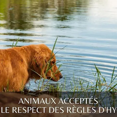 *l'ecrin De L'etang* Depaysement Assure Chalet Bourbourg
