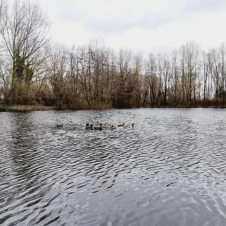 *l'ecrin De L'etang* Depaysement Assure בקתה